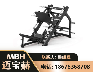 黄冈45°倒蹬训练器