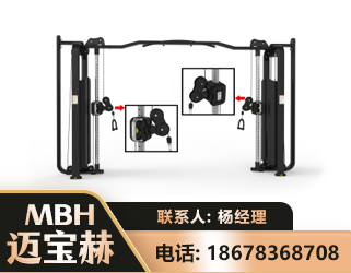 黄冈大飞鸟训练器