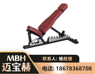 黄冈可调哑铃椅